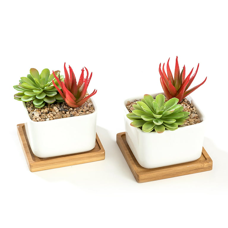  Lawei 4 Pack Ceramic Planter Pots - 6 Inch Flower Pots with  Drainage and Saucers, Round Succulent Pots White Garden Pots for Decorate  Home, Office, Outdoor : Patio, Lawn & Garden
