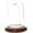Walnut Base / Gold Wire, variant on Plymor 3" x 5" Watch Glass Display Dome Cloche (Dark Mahogany Veneer Base & Gold Wire)