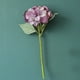 thumbnail image 5 of Matsuzay Flores artificiales de 35cm, flor de PU, ramo de tallo largo único, hermosa flor de simulación para la decoración de la boda del hogar Flores artificiales 9 Matsuzay HA6562-09B, 5 of 6