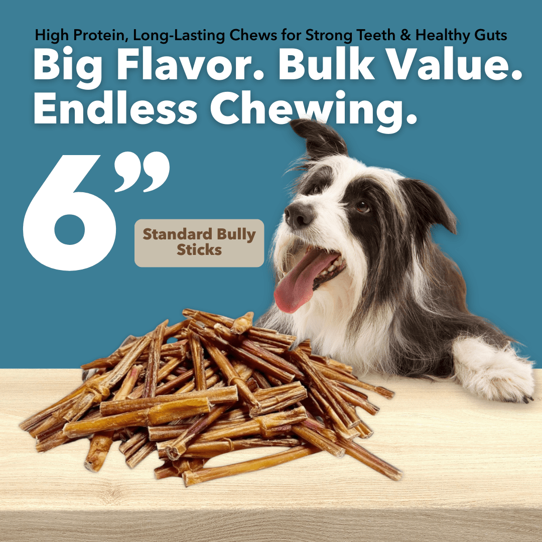 6" Standard Bully Sticks