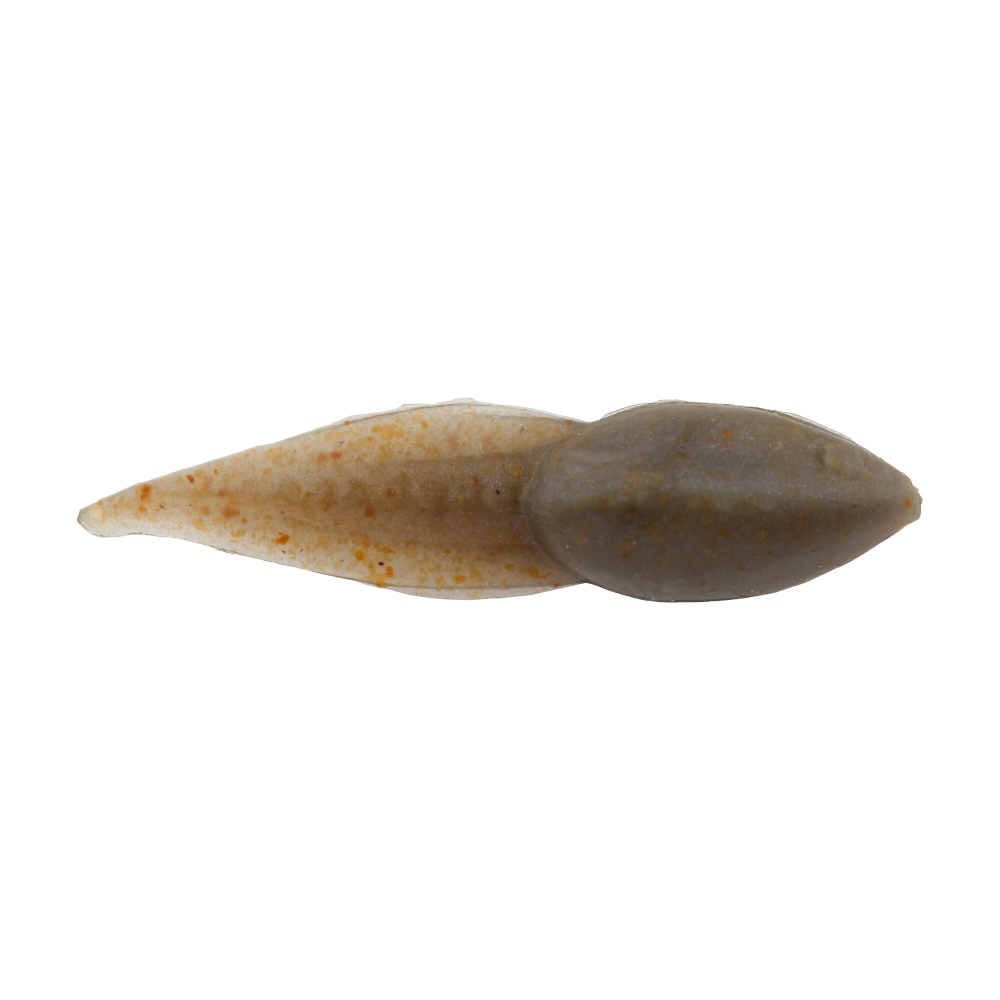 Berkley Gulp! Alive!® Tadpole, 1.25 in, Minnows, Smog (1 Count)