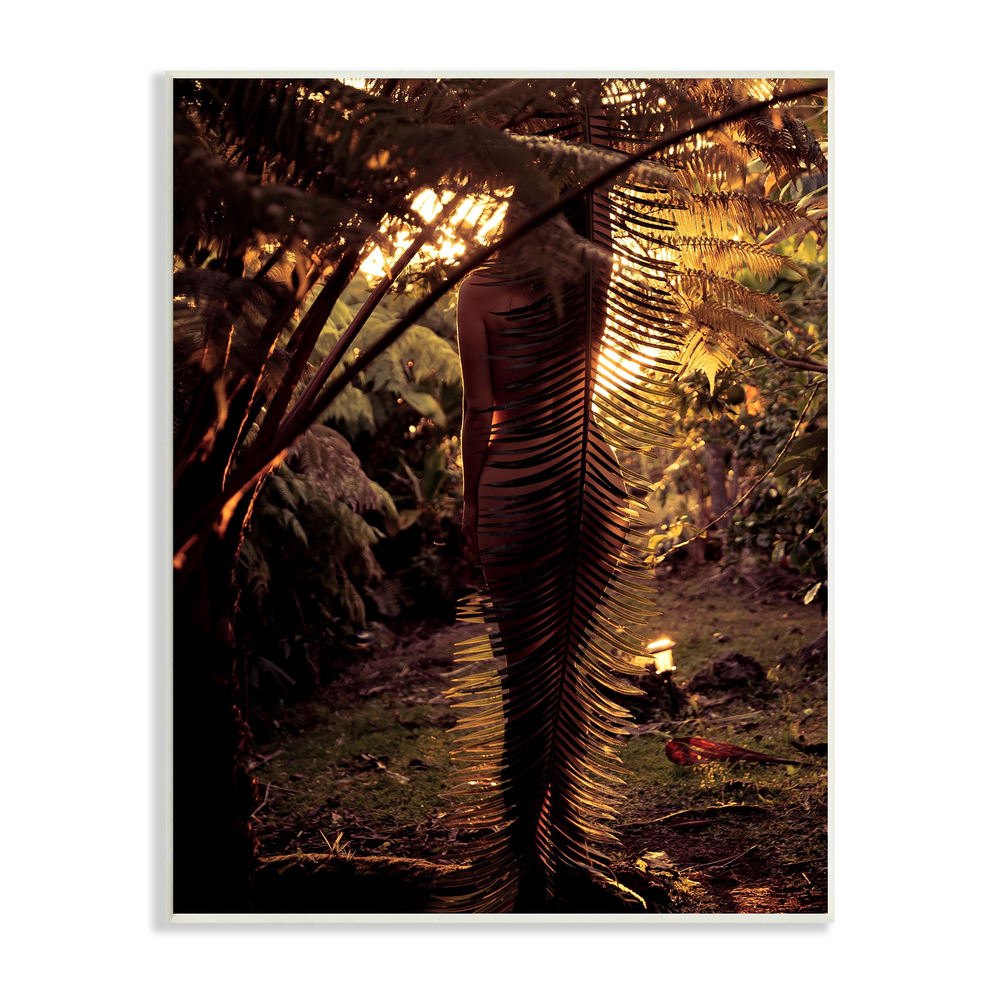 Nude Female "Thick" Beautiful Fine Art Print 8.5 x 11 Photo 
