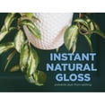 thumbnail image 4 of Burton & Burton Floral Chrysal Leaf Shine, 25 Oz., 4 of 7