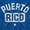 Royal, variant on Puerto Rican Pride Baseball PR Sports Youth Hoodie Boy Girl Teen Brisco Brands S