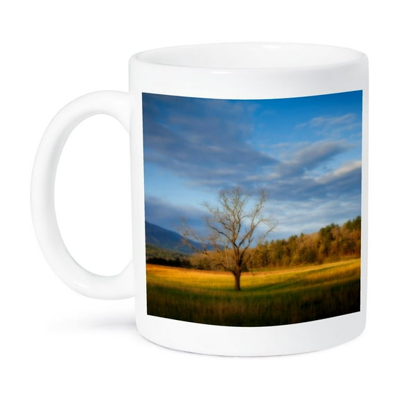 3dRose, USA, Tennessee, Pasture in Cades Cove., 11oz Mug