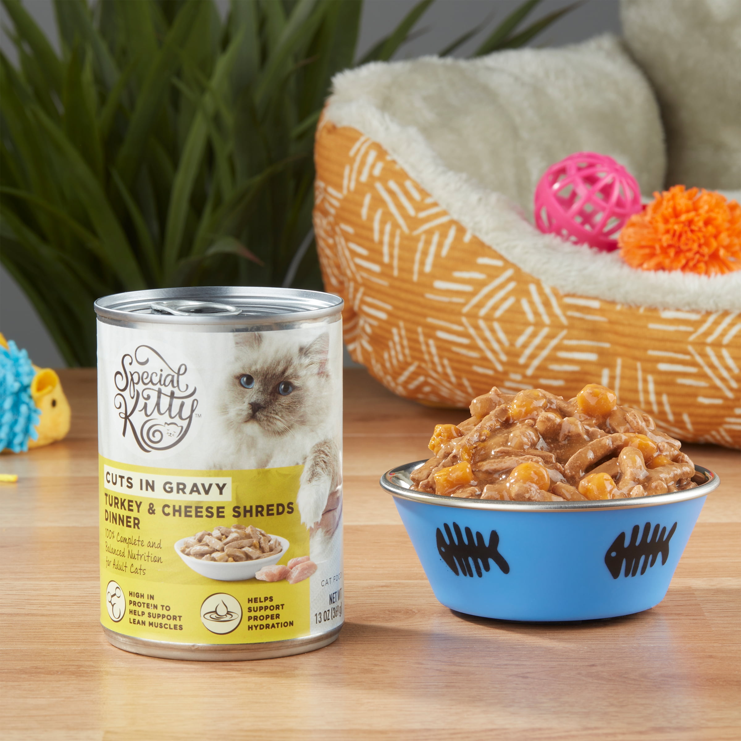 Special Kitty Cheese & Turkey Flavor Gravy Wet Cat Food for Adult, 13 oz. Can