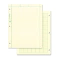 thumbnail image 1 of Computation Pad National Quad Ruling de 5 x 5 pulgadas, 8,5 x 11, 100 hojas, 1 of 6