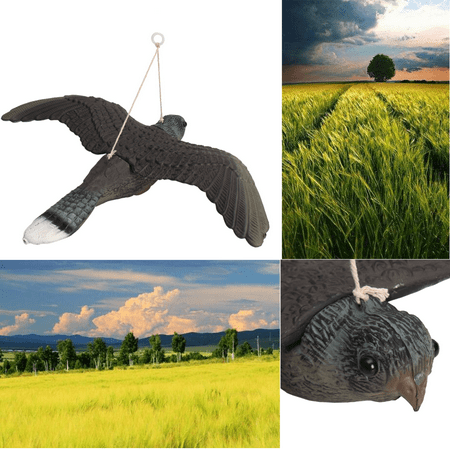 Scarecrow Decks - Flying Bird Hawk Owl Decoy Weed Pest Control Repellent Garden Scarer Scarecrow