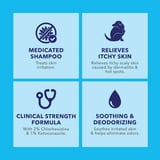A closer look at Dermatological Shampoo For Dogs With Skin Issues