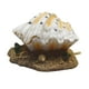 thumbnail image 1 of Decoración de concha de acuario artificial Zulema piedra de aire resina, 1 of 8