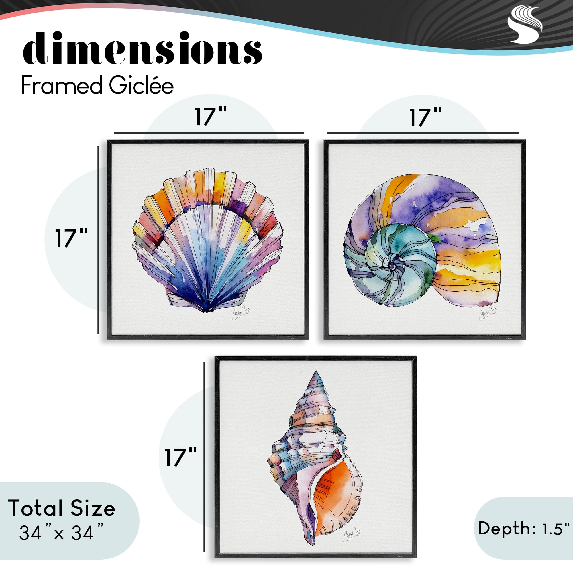 Stupell Industries Sunlit Seashells Watercolors 3 Piece Black Framed Giclee Art Set, design by Shelly Craig