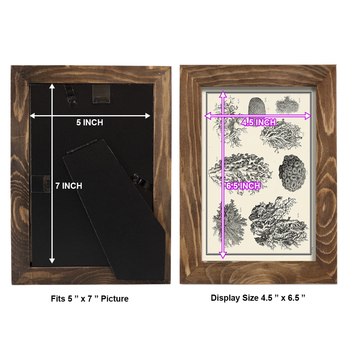 Aegean Collection IV -Framed Print w/glass-Walnut