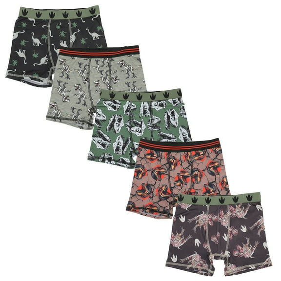 Dinosaurs All-Over Print Boy's 5-Pack Boxer Briefs-6