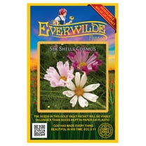 Everwilde Farms - 500 Sea Shells Cosmos Garden Flower Seeds - Gold Vault Jumbo Bulk Seed Packet