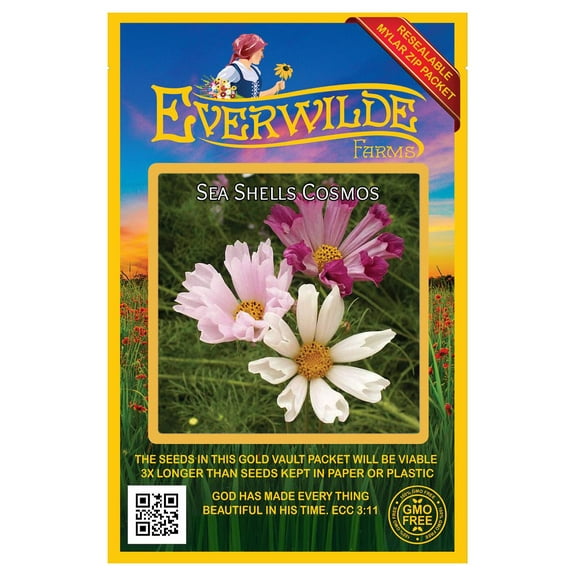 Everwilde Farms - 500 Sea Shells Cosmos Garden Flower Seeds - Gold Vault Jumbo Bulk Seed Packet