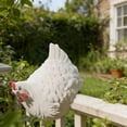 thumbnail image 6 of Chicken Decor Farmyard Fence Hen Ornament 4.72 Inches Outdoor Decoration, 6 of 6