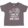 thumbnail image 3 of Inktastic Best Oma Ever Grandchild Boys or Girls Toddler T-Shirt, 3 of 5