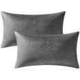 thumbnail image 1 of ZHAOCHENG Fundas de almohada decorativas rectangulares de terciopelo suave y acogedor de 12 x 20 en gris oscuro: paquete de 2 para decoración del hogar estilo granja, 1 of 5