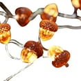 thumbnail image 2 of 3D Twinkle Acorn Fall Decorations,Acorn Lighted Fall Garland,Battery Operated Acorn String Lights,Flexible Copper Wire Acorn Fairy String Glow Strand,Thanksgiving Acorn Ornament for Party,Home, 2 of 4