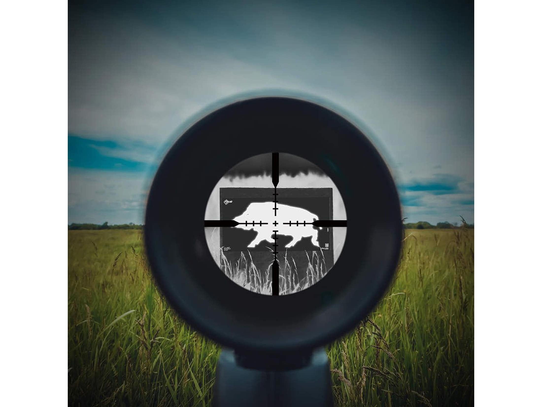 Ez Aim Thermal ID Boar Paper Target, 24" x 12," Gray