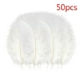 thumbnail image 2 of Clearance! Fdelink Feathers Decoration 50 Pcs Colourful Plumage for Wedding Party Centerpieces Flower Arrangement Home Decoration Diy Middle Floating Plume Hair Clothing Craft Decoration Plumage, 2 of 3