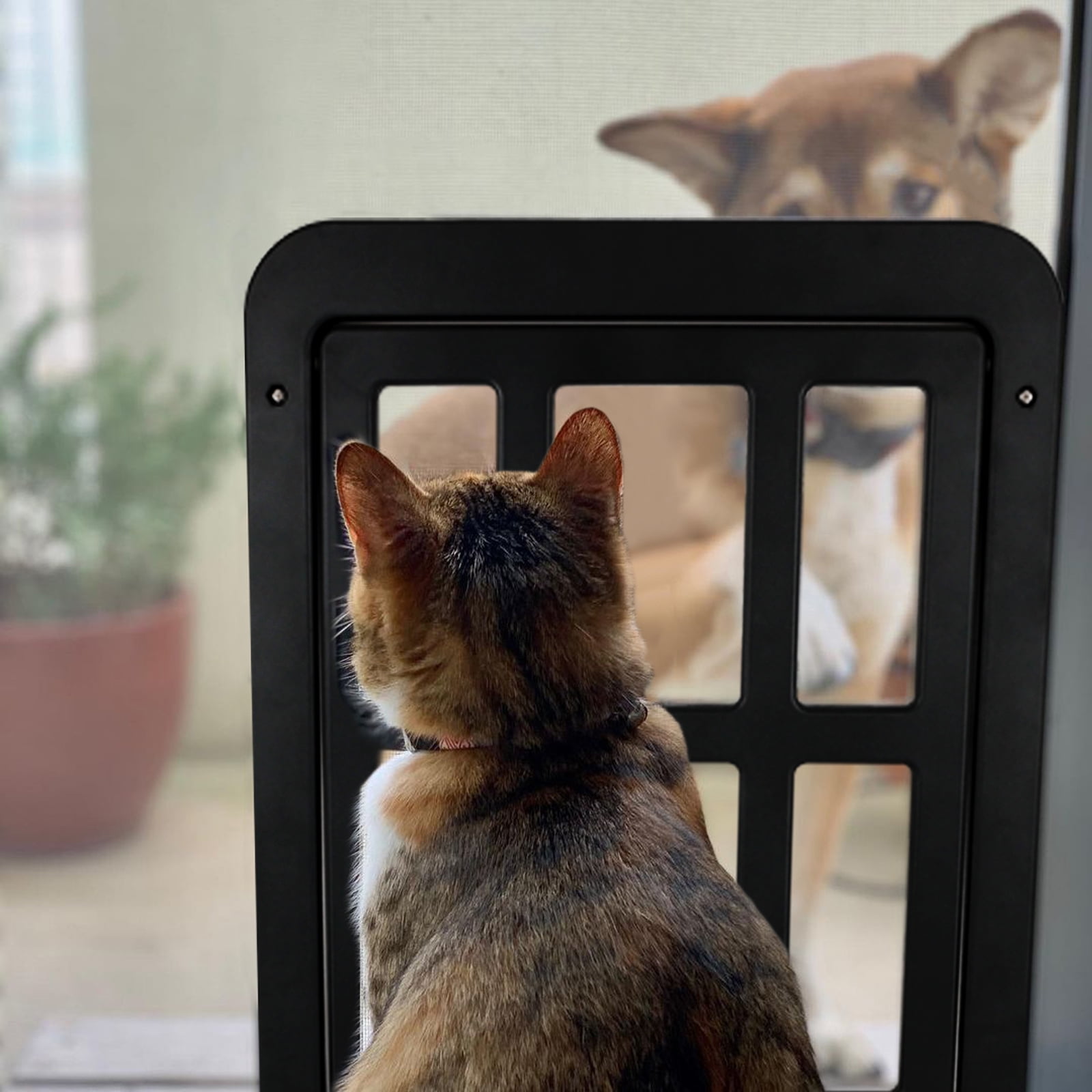 Screen door with dog entrance cheap