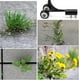 thumbnail image 5 of Herramienta manual para desmalezar, desmalezadora manual con ruedas, para limpiar entre patios con losas de piedra y césped Cisea, 5 of 5