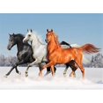 thumbnail image 1 of 30x40 Cm 5d Peinture Diamant Diy Complet,animal Horse Group Perceuse Circulaire Complte Diy Diamond Strass Toile Point De Croix Painting Par Numr, 1 of 5