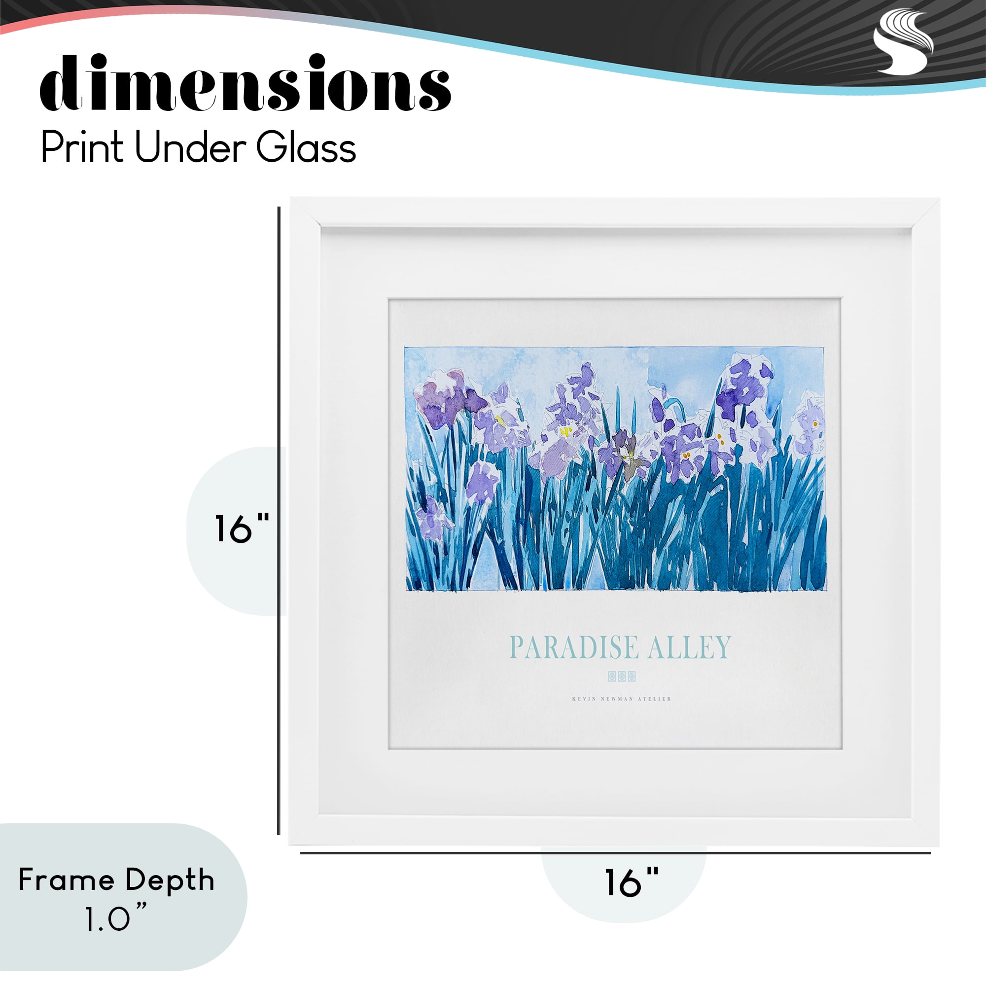 Stupell Industries Paradise Alley Purple Irises White Framed Print Under Glass, design by Jadei Graphics