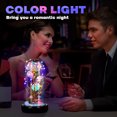 thumbnail image 3 of Golden Foil Rose in Glass Dome with Adjustable LED Lights for Decoration Multi Color 7 Inch, 3 of 4
