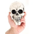 thumbnail image 3 of 3-Pack of Large Skulls, 3 of 4