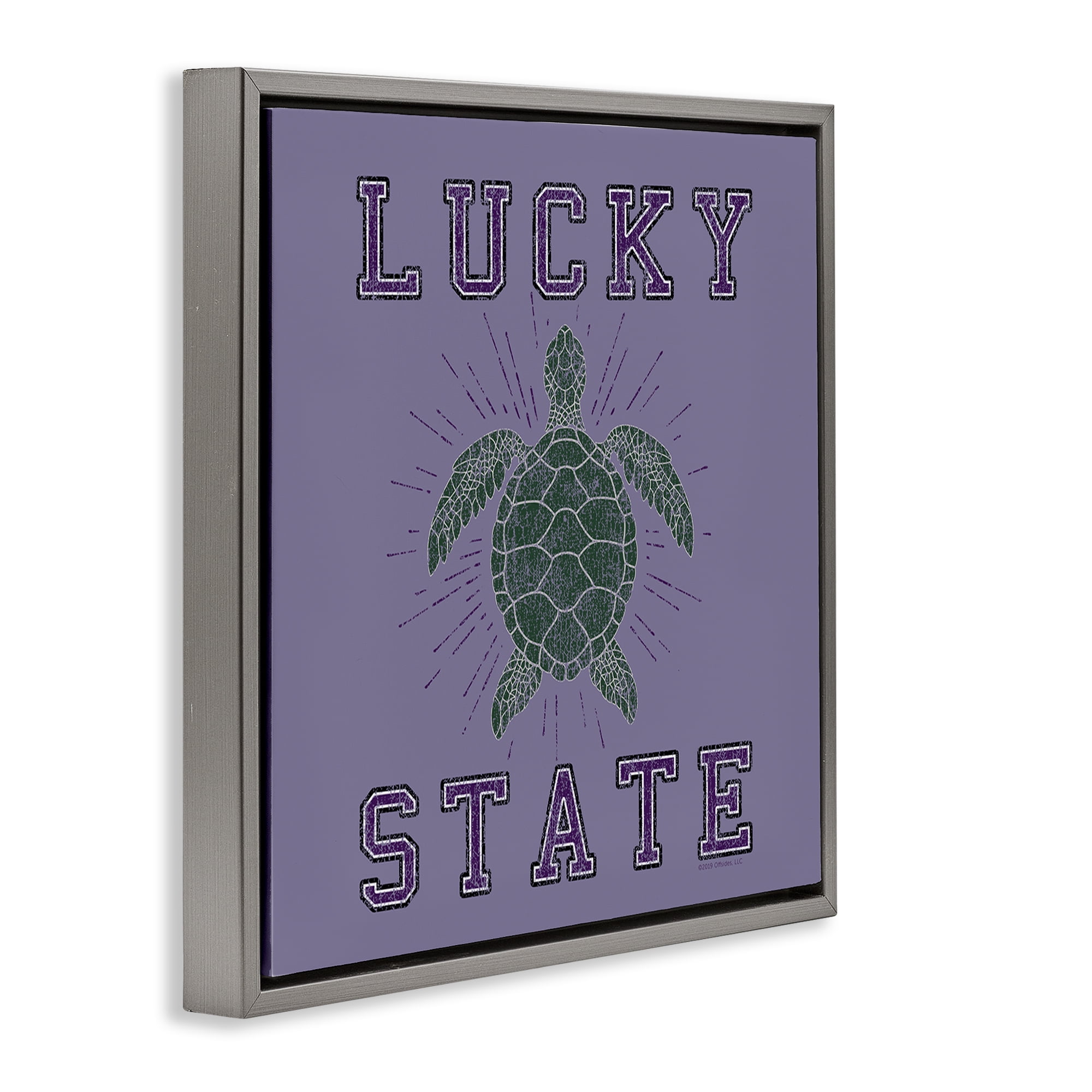 Stupell Industries Lucky Sea Turtle State Animals Painting Gray Floater Framed Canvas Art Print Wall Art, 18 x 18