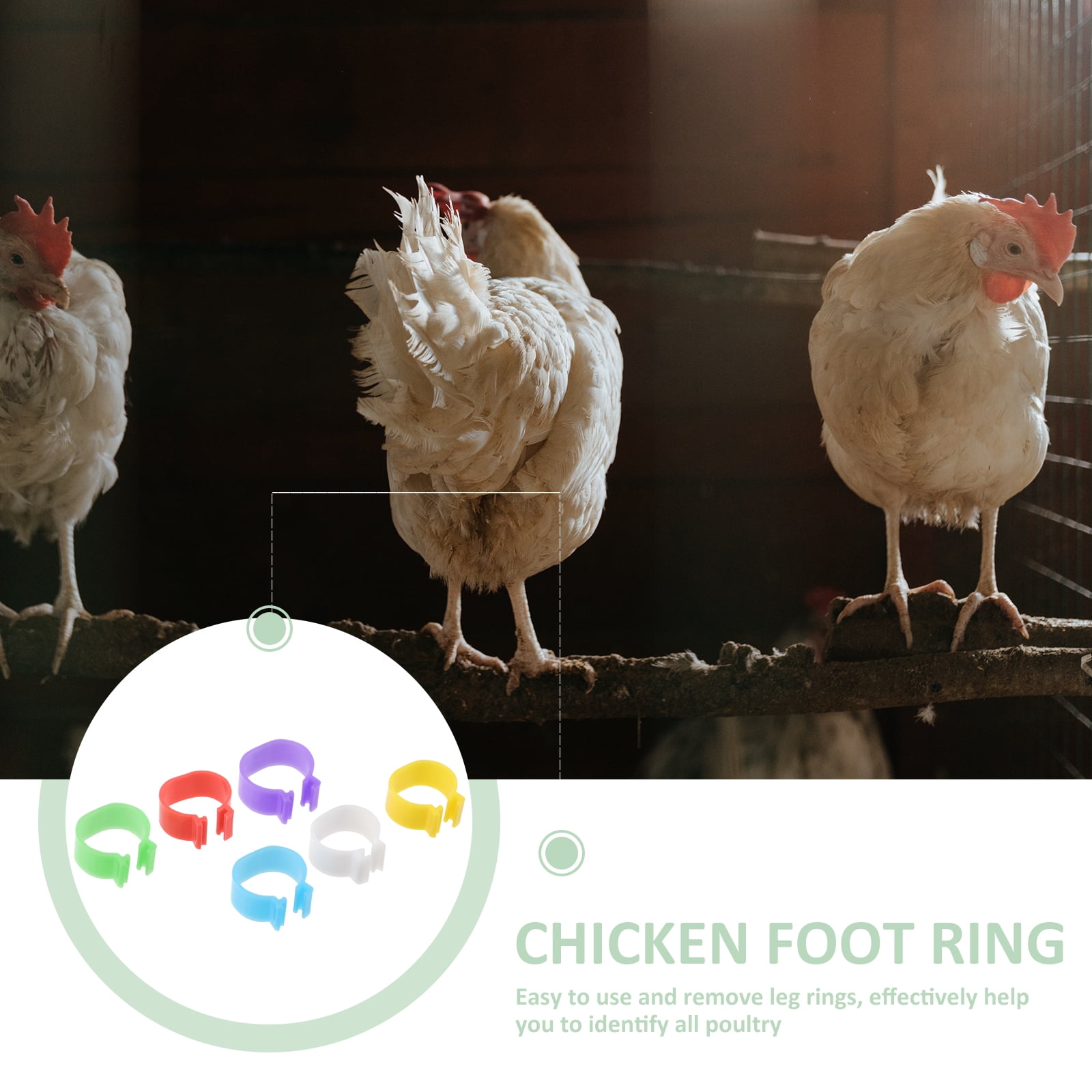 Chicken Thigh Legs 360 Pcs Goose Feet Rings Foot Drumstick Pp
