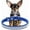 Blue, variant on 1Pack Diamond Dog Collars for Small Dogs, Fancy Rhinestone Cat Collar Crystal Glitter Jeweled Girl Bling Puppy Collars for XXS Xs Small Medium Breed Female Pet Dogs Kitten