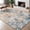 Mist Blue, variant on Roomisland Area Rug 4x6ft Machine Washable Non-Slip Traditional Chenille Floor Carpet for Living Room Bedroom, Light Mixed Brown