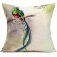 thumbnail image 4 of Bird Pillow Covers Watercolor Hummingbirds Resplendent Quetzal Nature Green Bird Cushion Cases Outdoor Decorative Couch Pillows Home Décor for Bed Sofa 18x18inch Set of 4, 4 of 5
