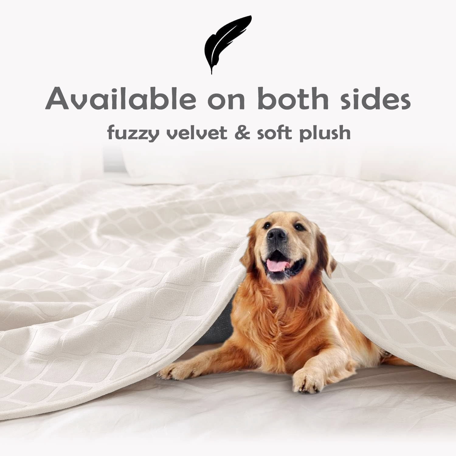 Waterproof Dog Blanket Bed Cover in Cream and Beige, Large 82 x 102 Inch Cozy Pet Throw