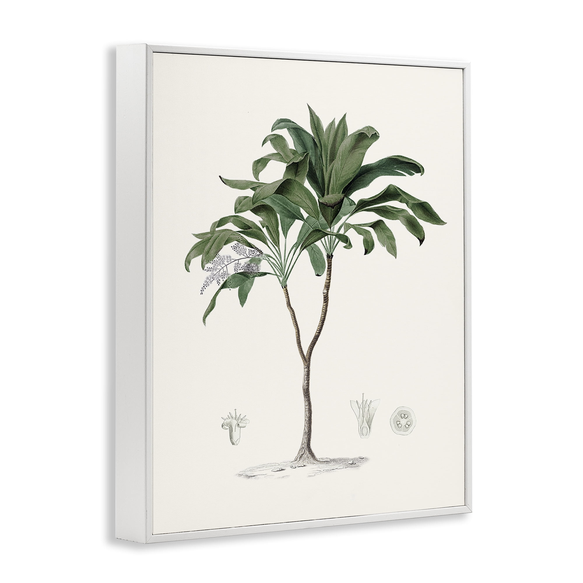 Stupell Industries Coastal Palms Vintage White Framed Giclee Art, design by Val Rhodes