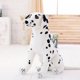 thumbnail image 3 of Animales de peluche, juguete de perro dálmata de peluche, juguete de perro gigante de simulación, animal realista, juguetes para niños, regalo para niños, mascota de tienda de mascotas, 3 of 5