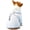 LightCyan, variant on Dog Bathrobe, Microfiber Fast Drying Absorbent Hooded Bath Towel for Puppy Small Medium Large Dog Cat (XL, White)