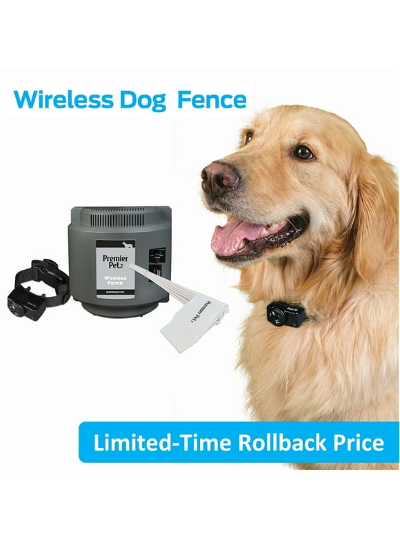 Invisible Electric Dog Fences in All Dog Gates