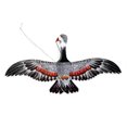 thumbnail image 1 of TheFound Mini Kite, Colorful Parrot Butterfly Bird Kite Beach Kite with Rod for Outdoor Park, 1 of 7