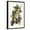 Black Frame, variant on Art.com Pileated Woodpecker Art Print by John James Audubon, 12" x 18"