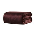 thumbnail image 5 of Blanket Soft Warm Flannel Flannel Blankets Bedding Supply For Winter, 5 of 5