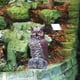 thumbnail image 4 of Escultura de búho, estatua disuasoria de aves, decoración, mantiene a los enemigos naturales efectivos para E, 4 of 9
