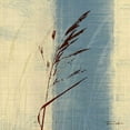 thumbnail image 3 of Venter, Tandi 15x15 Black Modern Framed Museum Art Print Titled - Dancing Grass II, 3 of 5
