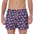 thumbnail image 3 of "Flamingos" traje de baño short Maré Collection H106/Traje de baño/ Secado rápido, 3 of 5