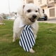 thumbnail image 5 of Corbata ajustable para perro y gato, ropa para perro y mascota, collar blanco, 5 of 5
