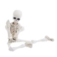 thumbnail image 5 of Fankiway Halloween Movable Skeleton Human Model Skull Full Body Mini Figure Toy , Decorations Skull Full Body Realistic Faux Human Skeleton Skull Decor, 5 of 8