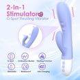 G-spot Rabbit Vibrator with Heating, 12 Speed Vibrating Stimulator G Spot Sex Toys for Women Adult Toys (Purple)
